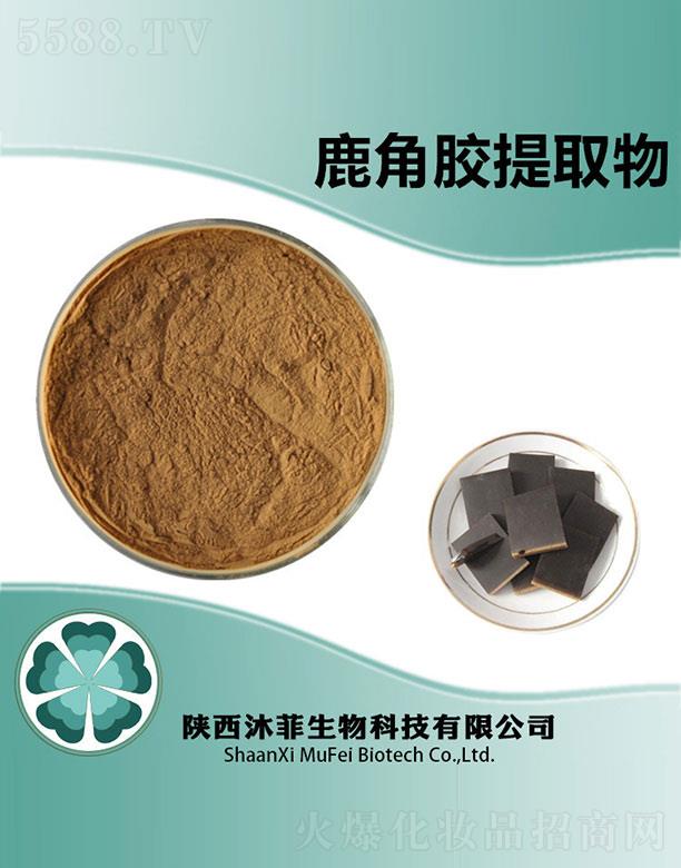 ���¹���z��ȡ��