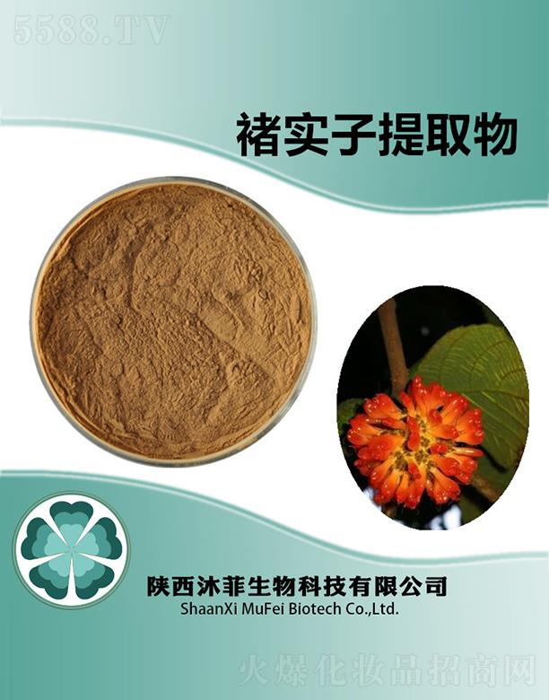 ����Ҍ�����ȡ��