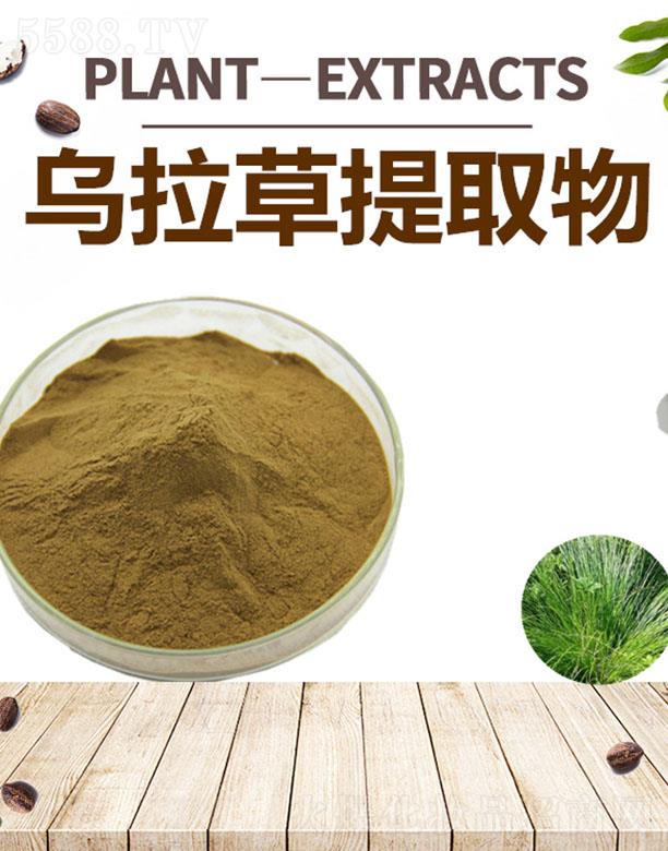 �ĺ���������ȡ��