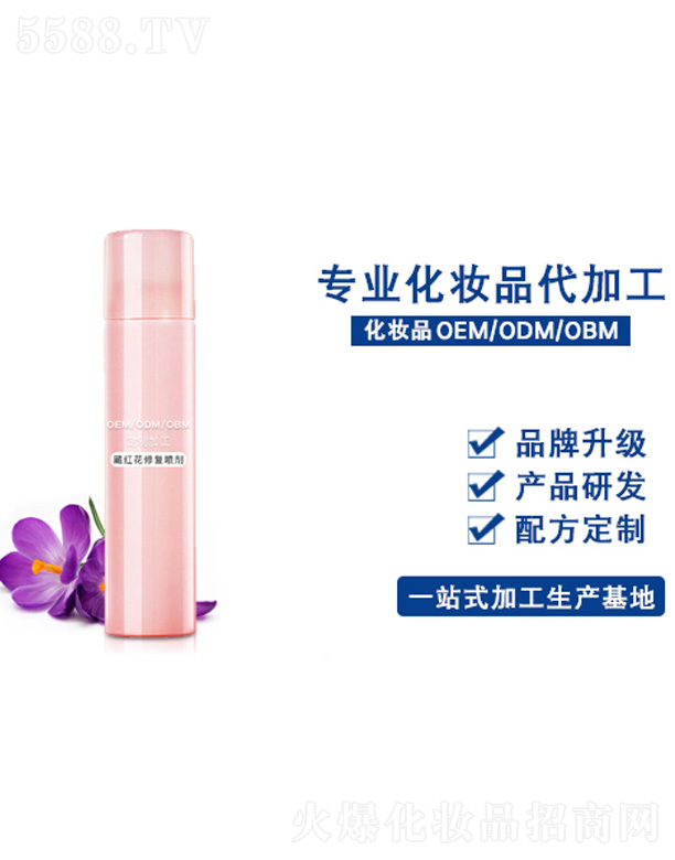 �ؼt���ޏ͇���