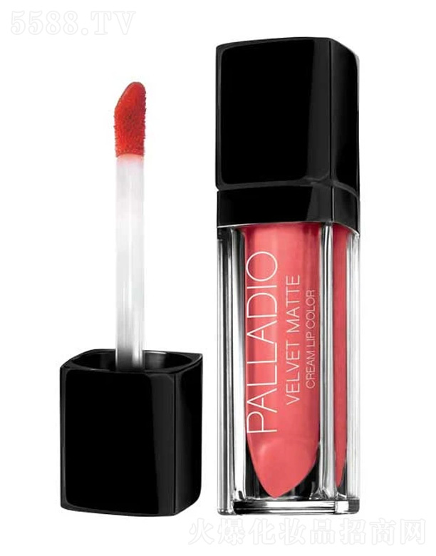 �z�q���ⴽ��-�\��