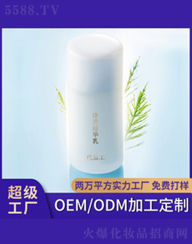 ��͸���A��