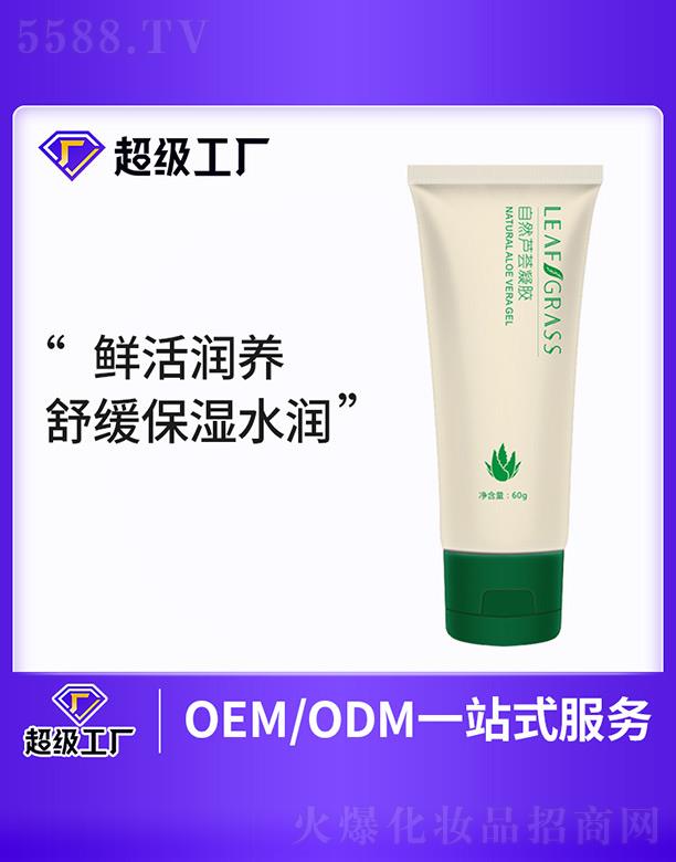 ��Ȼ�J�C���z