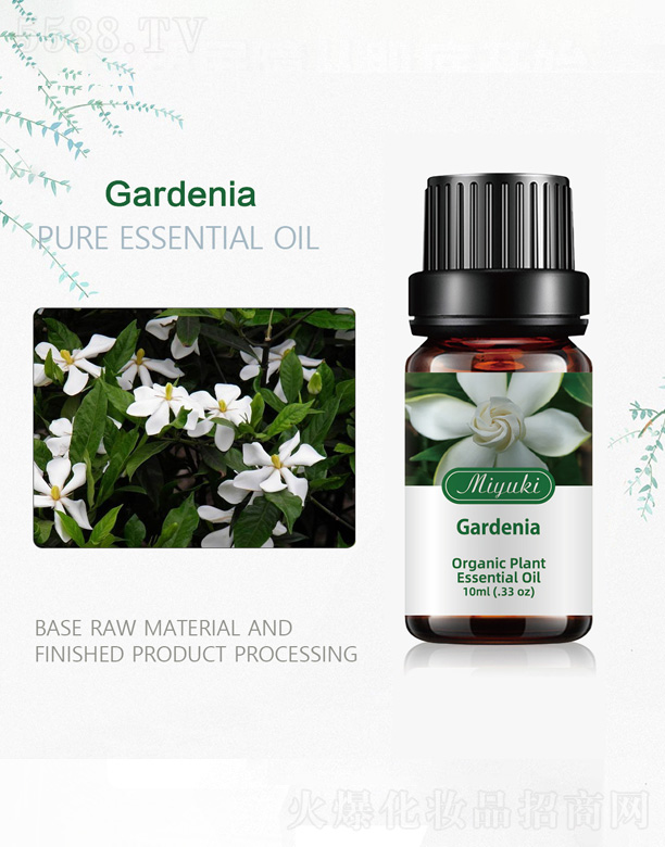 梔子花單方植物精油