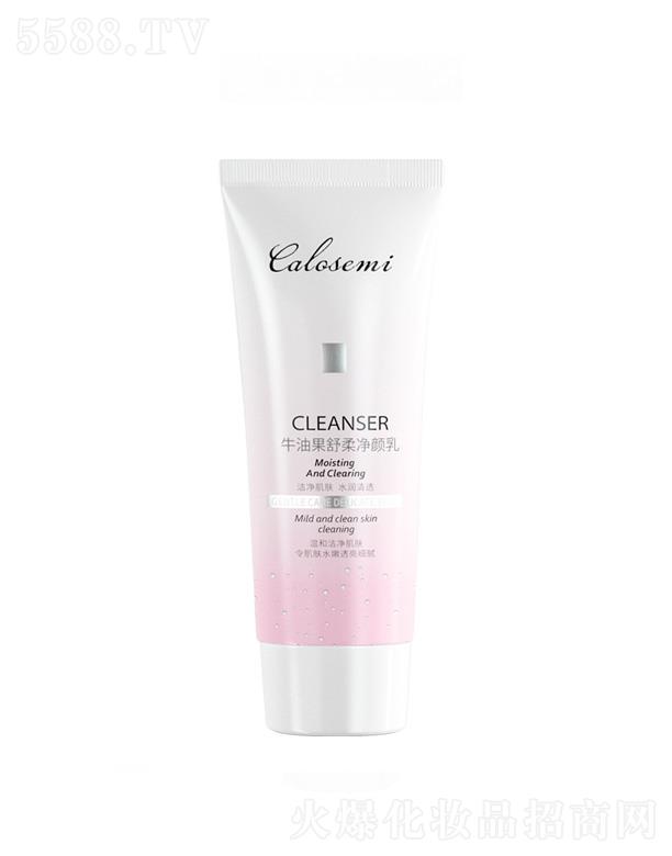 ���_ʥ��ţ�͹���������