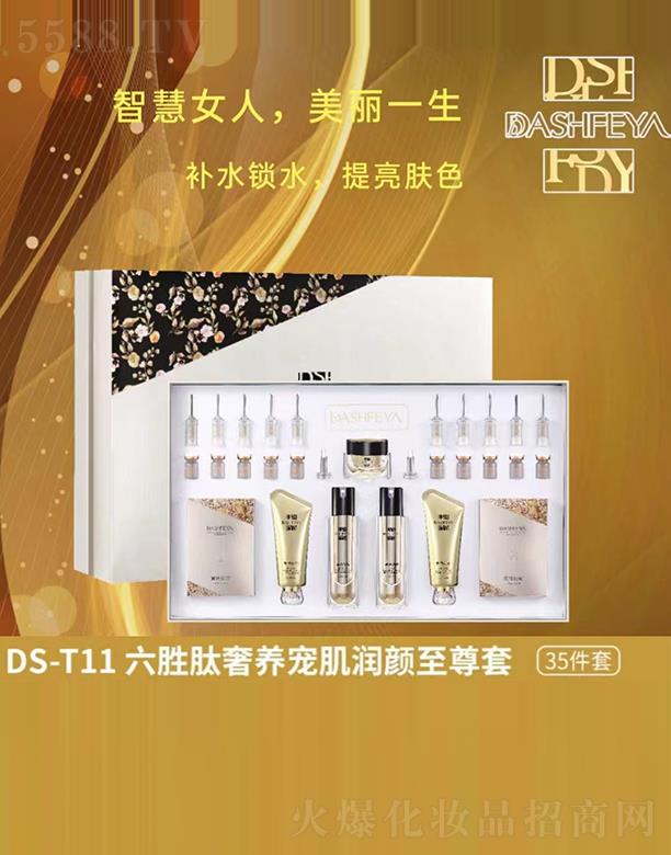 ��ɯDS-T11���������B(y��ng)���������