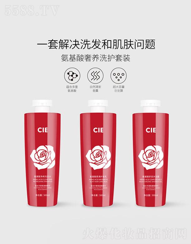 �V�|������   CIE���������B(y��ng)ϴ�o(h��)��������   �坍����