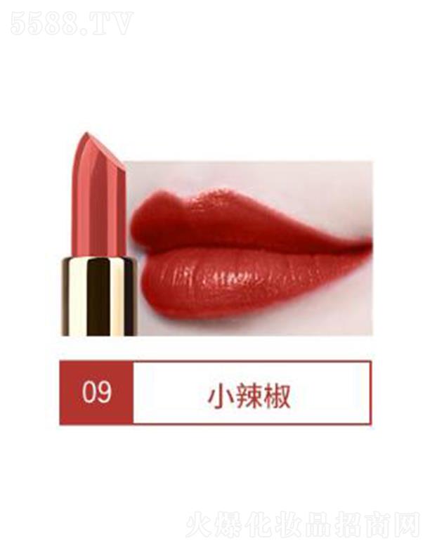 VIBELY�r���̝��Ȼ�ڼt09С����