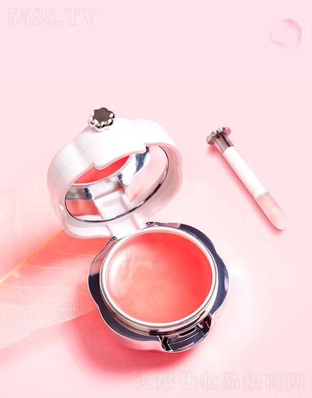 ѩ������ݮ����˯�ߴ�Ĥ 13g �̝�ȥƤ�ڼt���