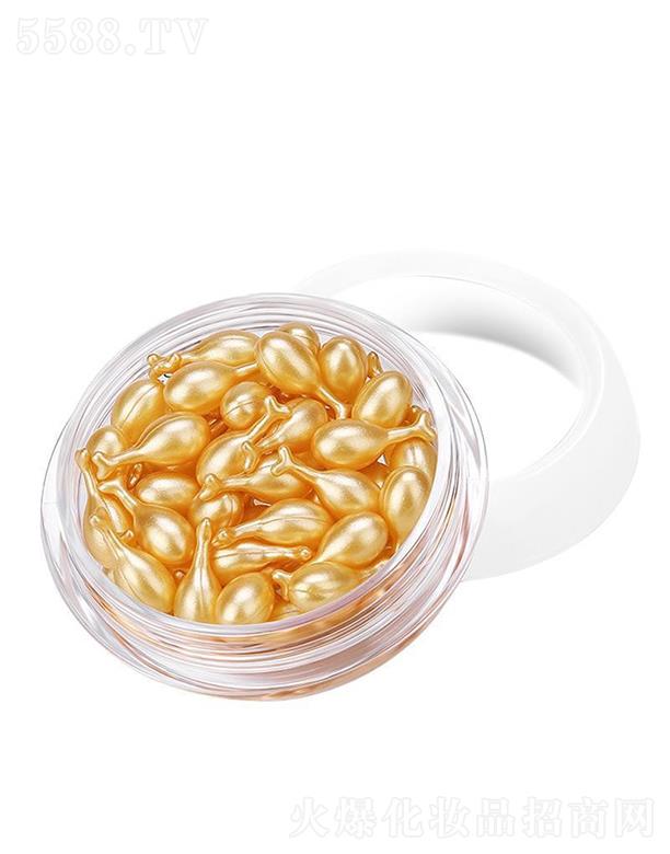 �V�����m(x��)�t(y��)ˎ   ��������֥�ܸ���ϩ̥�P(p��n)�ؾ��A   ������(x��)�y����