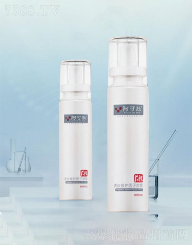 �����ı�Ƥ���o���Ӈ��F