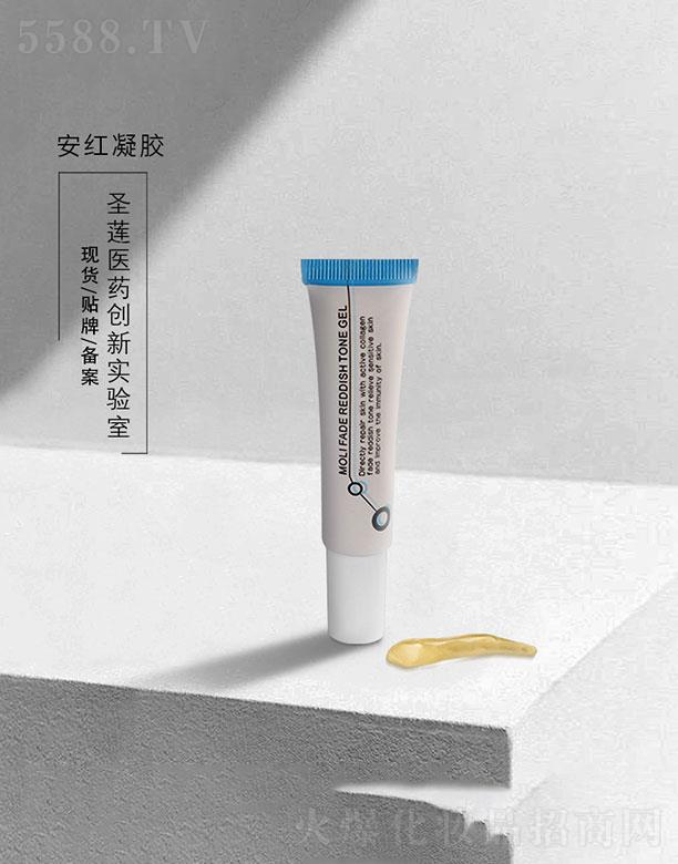 �V��ʥɏ  ʥɏ���t���z   ���o(h��)�ʼt