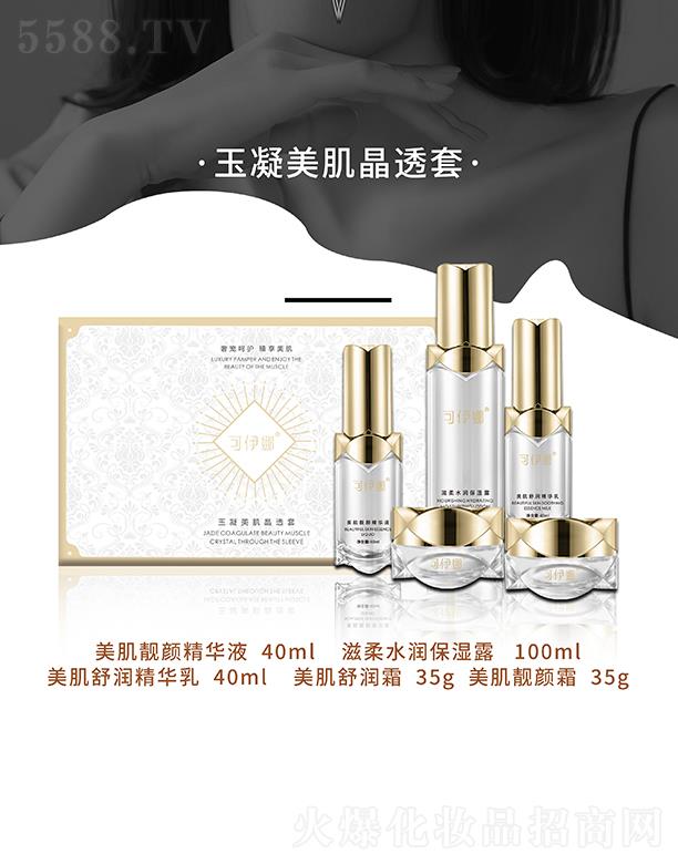 ����������������͸��