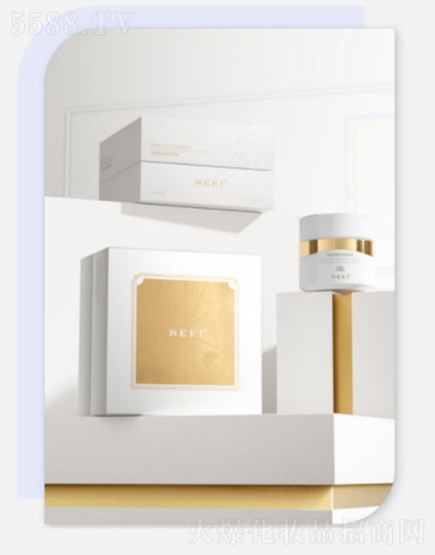 �������H����Ƽ����޹�˾��SEKI�z�����������͟����˪