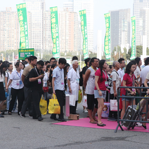 2019�������I(y��)���[�����𱬾W�F�����������