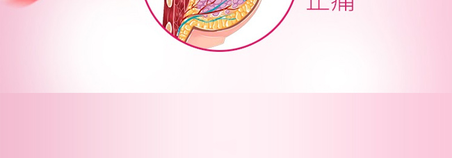 艾卉蘭姿暢草本養(yǎng)護套-乳腺 艾卉蘭姿暢草本養(yǎng)護套-乳腺