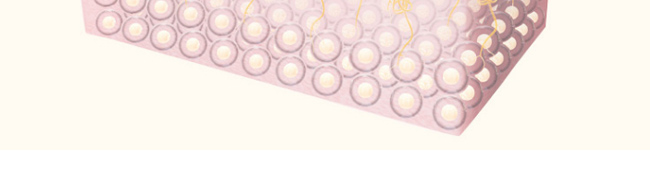 �����p���������x���o��