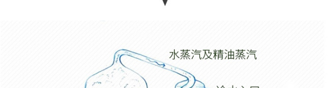 �����_(d��)��侫��