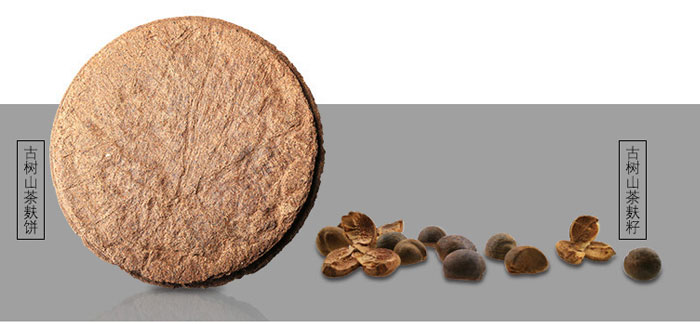 茶氏家族-山茶籽調理精油 茶氏家族-山茶籽調理精油