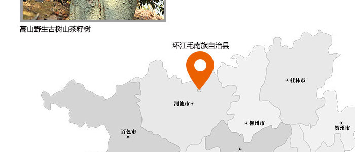 茶氏家族-山茶籽調理精油 茶氏家族-山茶籽調理精油