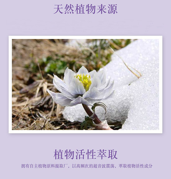 �S�c�ʗ�ѩɏ����͸������ĭ