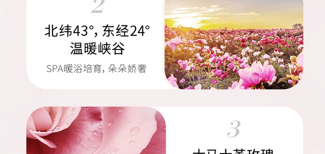 �؊}��õ�弃¶