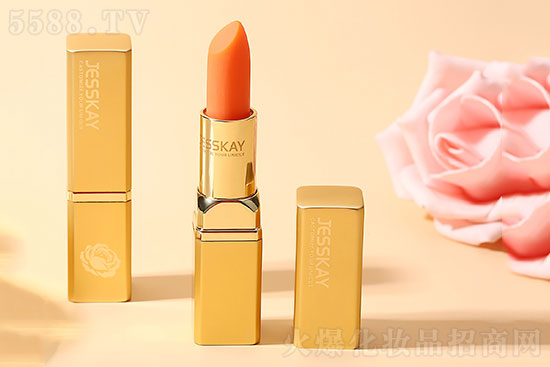 JESSKAYõ�徫���ޏ�(f��)����