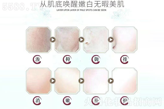 ��(zhu��n)ע��(w��n)�}���w���o(h��)