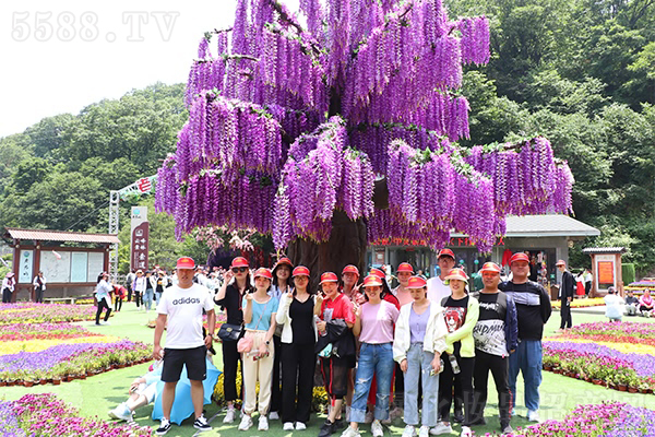 永遠(yuǎn)不要停下自己攀登的腳步 永遠(yuǎn)不要停下自己攀登的腳步