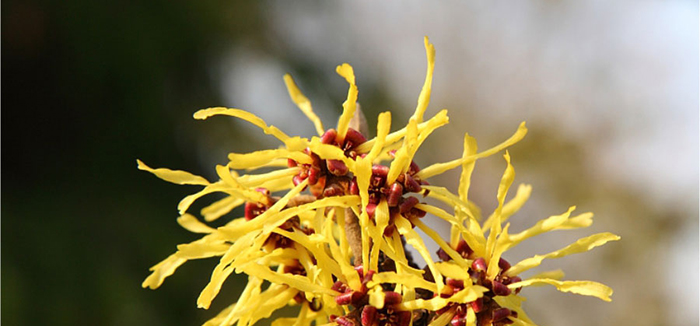 ؐ��ޱԊ�������R���������F