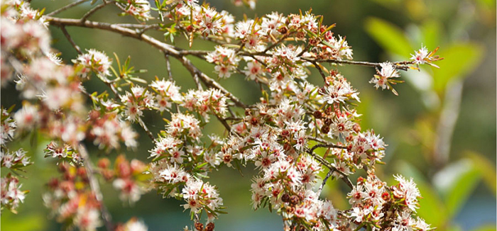 ؐ��ޱԊ�������R���������F