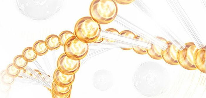 �n�����n�w�����