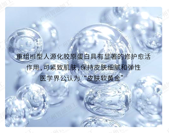 重組III型人源化膠原蛋白敷貼 重組III型人源化膠原蛋白敷貼