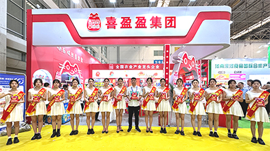 ���ƏV���ݴ�������